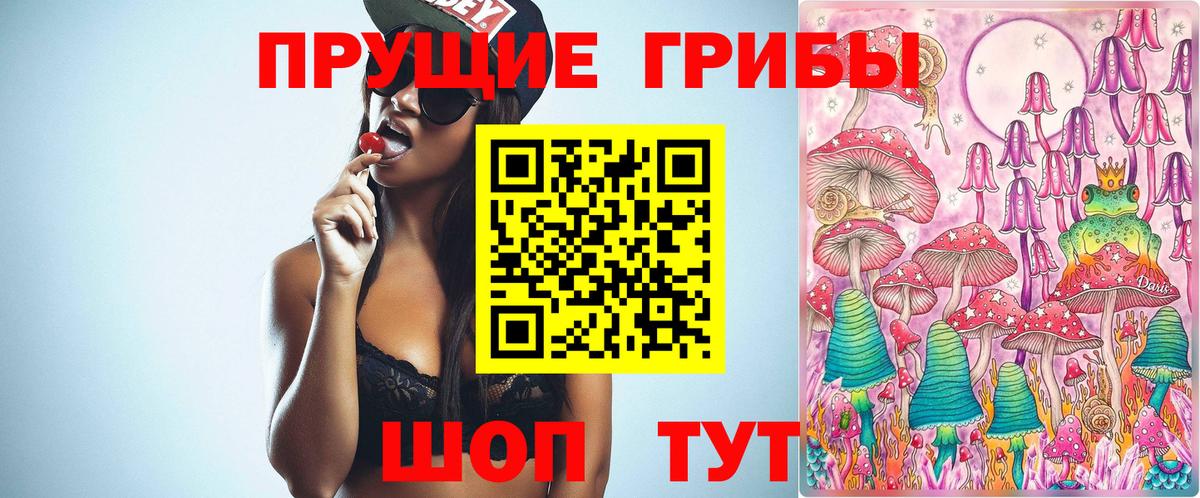 Галлюциногенные грибы GOLDEN TEACHER  Вход с VPN  Тамбов 