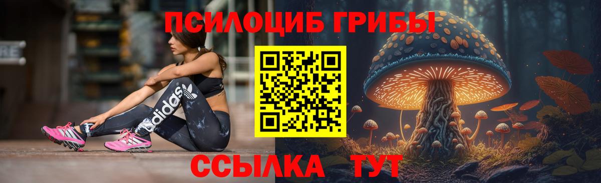 Галлюциногенные грибы мицелий Тамбов